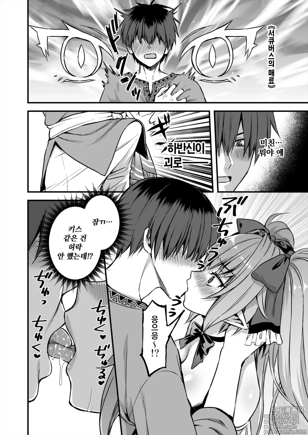 Page 19 of doujinshi 이세계 엘프 발정의 마안 8 ~서큐버스 NTL 편~