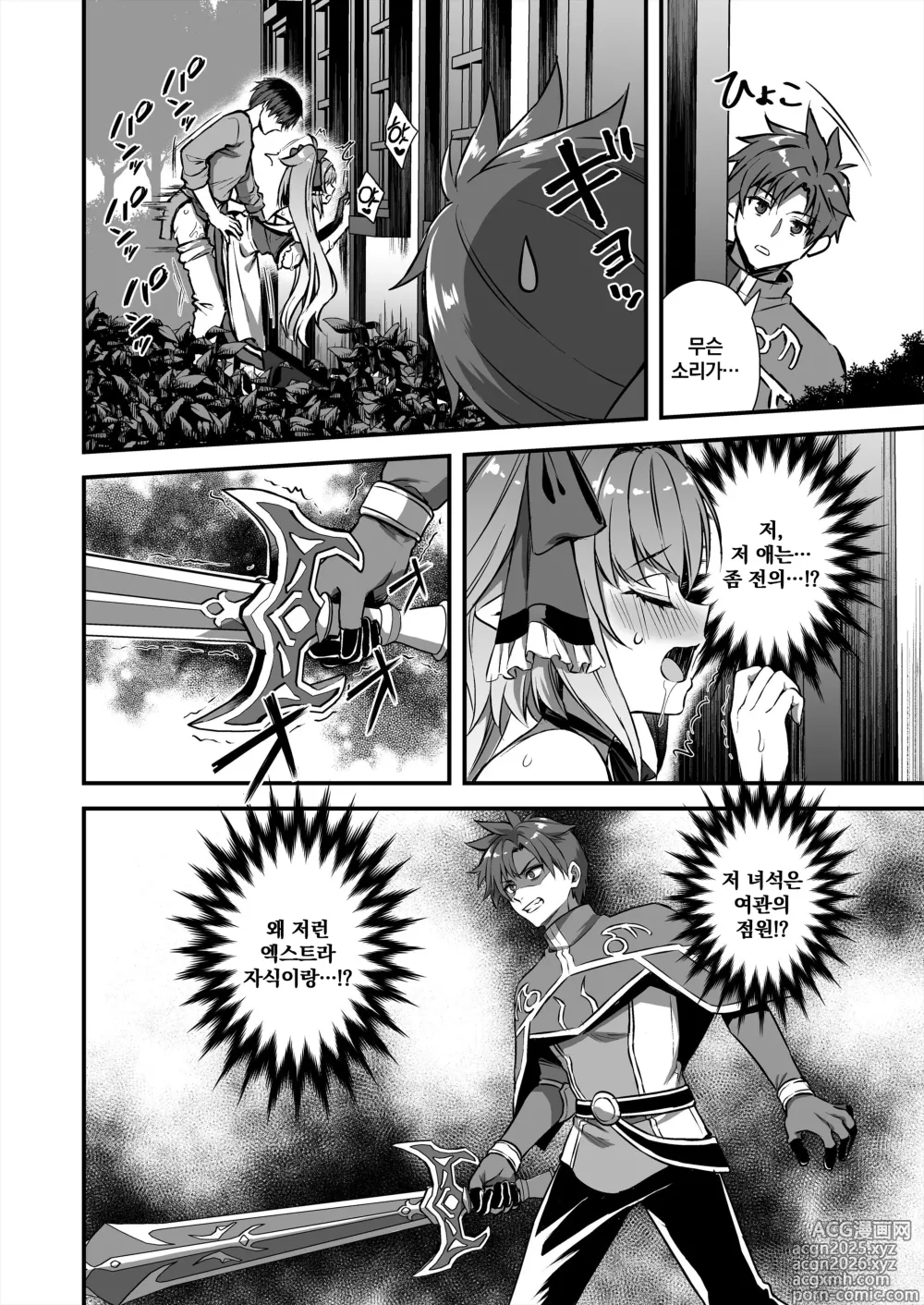 Page 25 of doujinshi 이세계 엘프 발정의 마안 8 ~서큐버스 NTL 편~