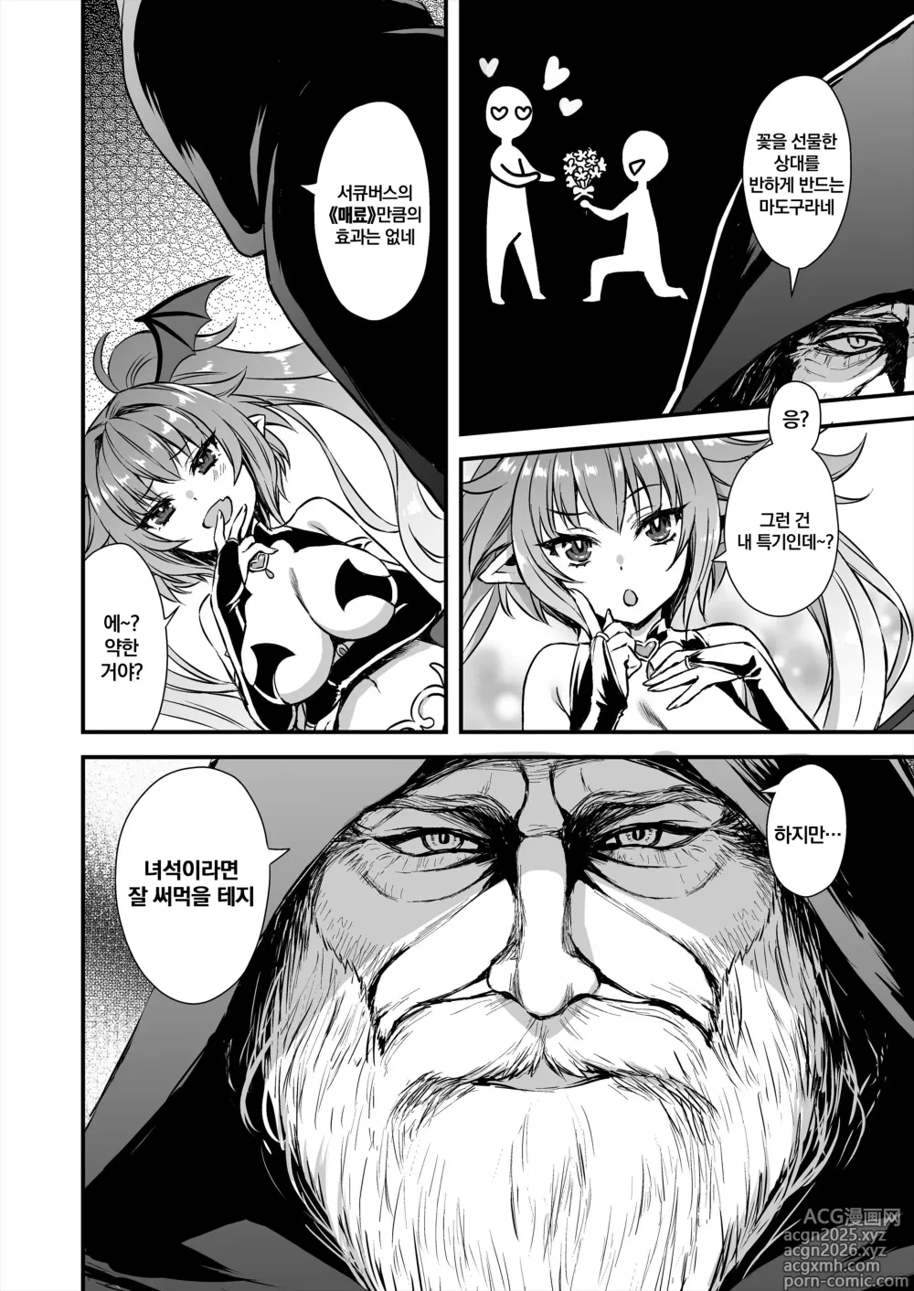 Page 5 of doujinshi 이세계 엘프 발정의 마안 8 ~서큐버스 NTL 편~