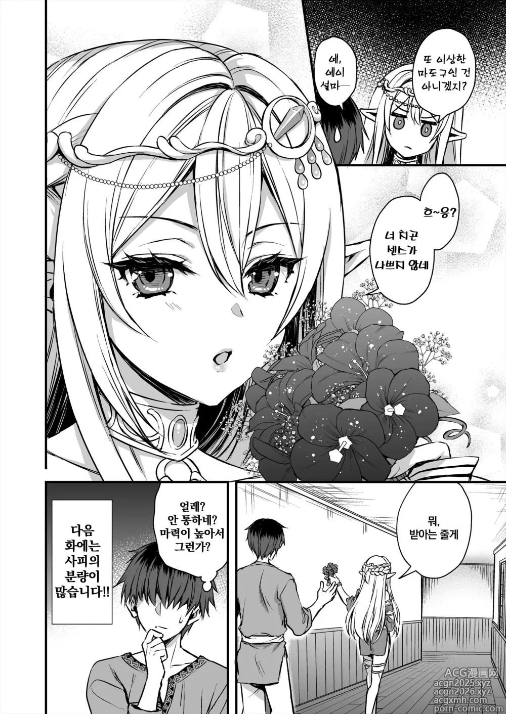 Page 49 of doujinshi 이세계 엘프 발정의 마안 8 ~서큐버스 NTL 편~