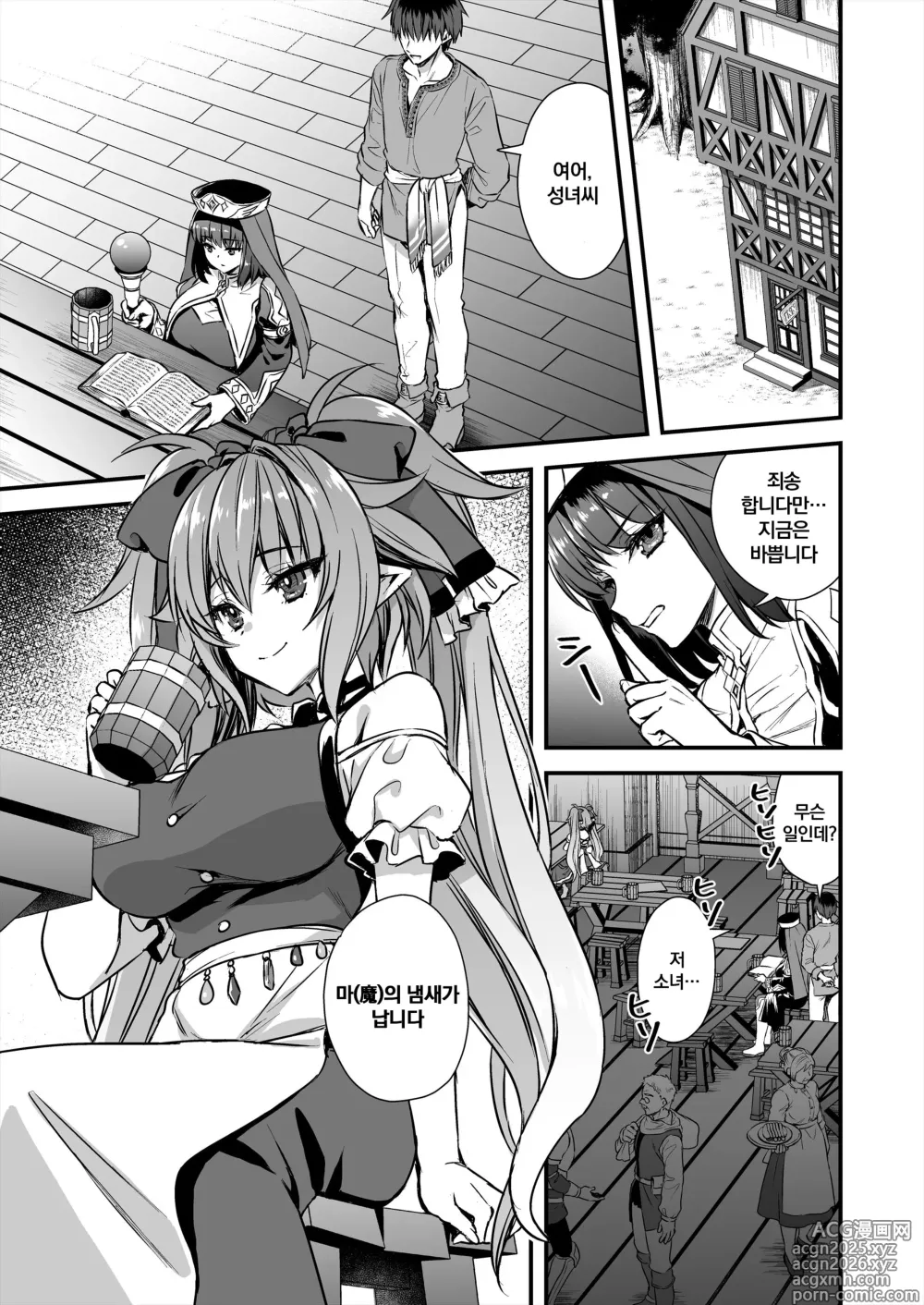 Page 6 of doujinshi 이세계 엘프 발정의 마안 8 ~서큐버스 NTL 편~