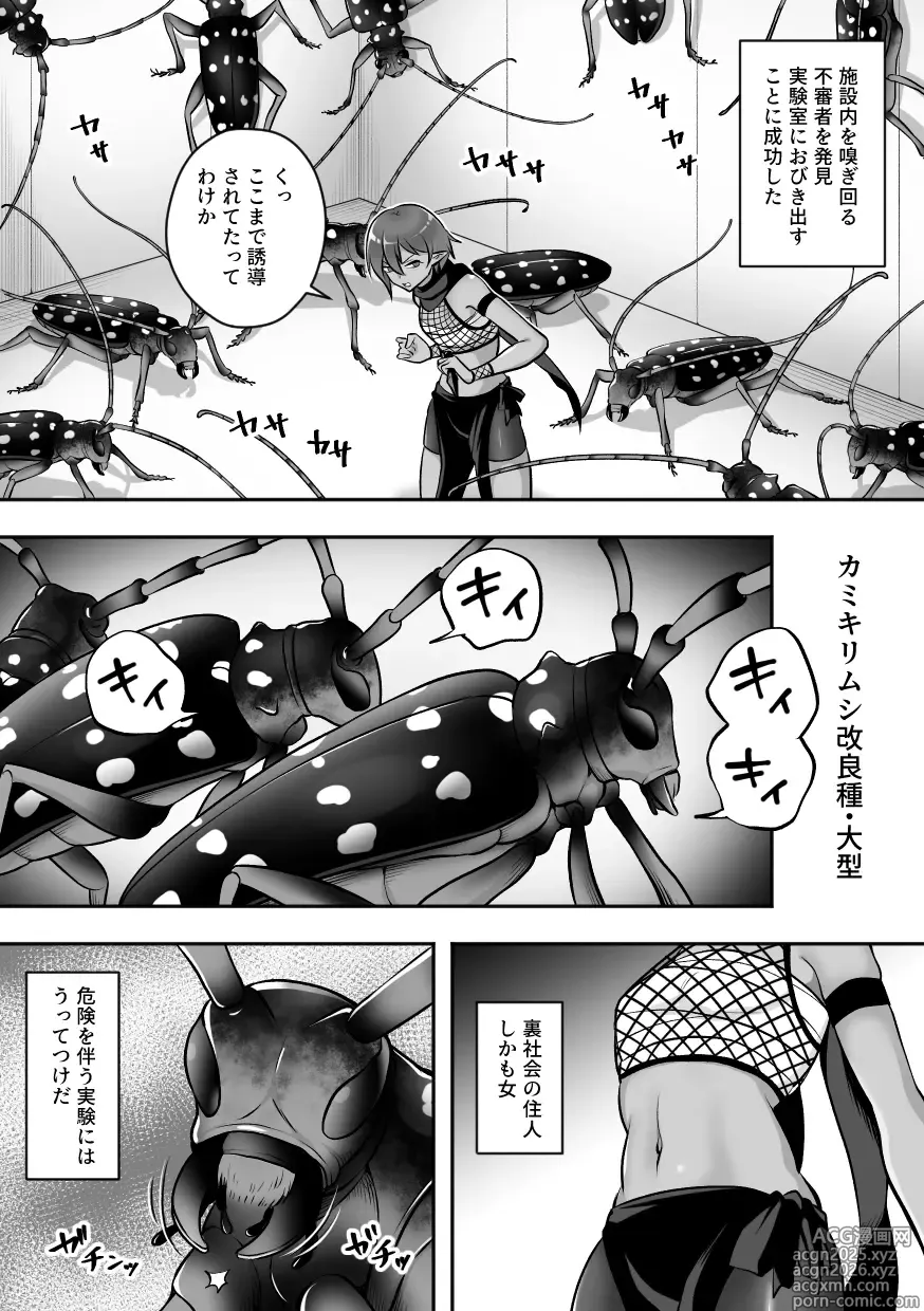 Page 6 of doujinshi Konchu kenkyuu jyo Vol.3