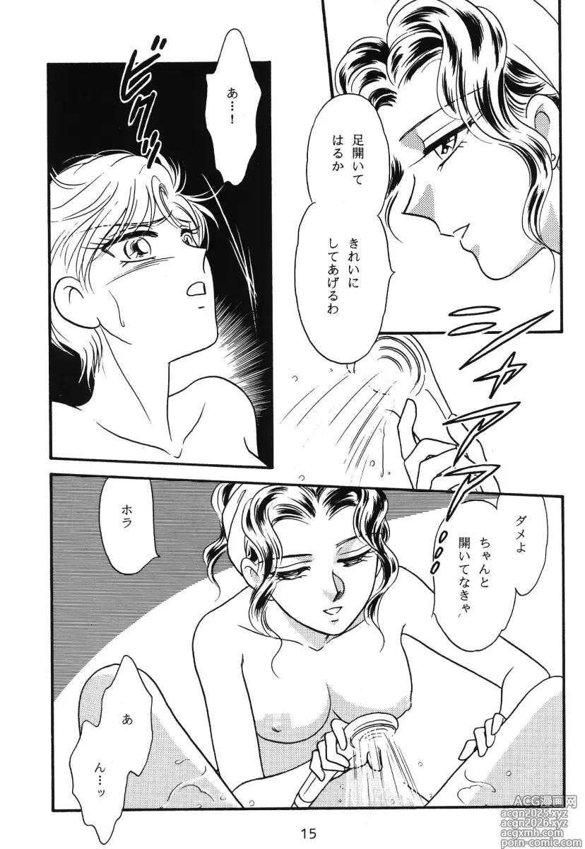 Page 14 of doujinshi Starlight