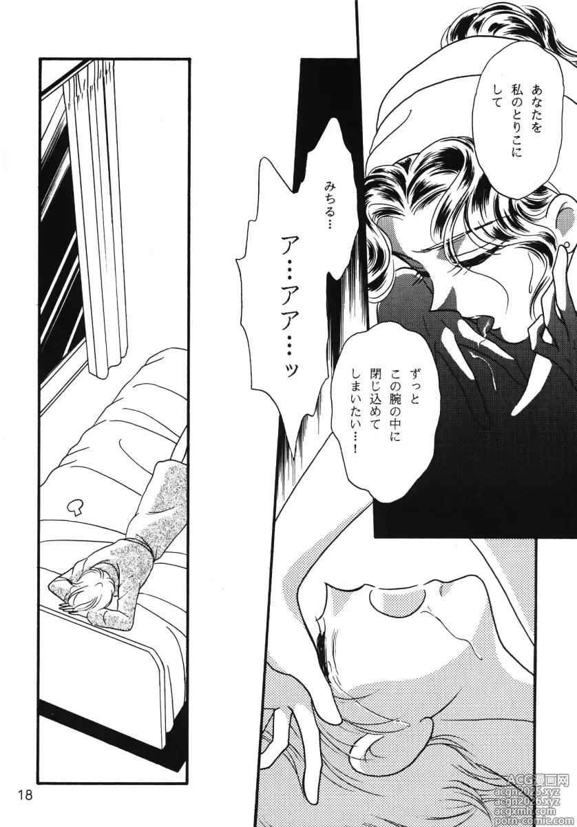 Page 17 of doujinshi Starlight