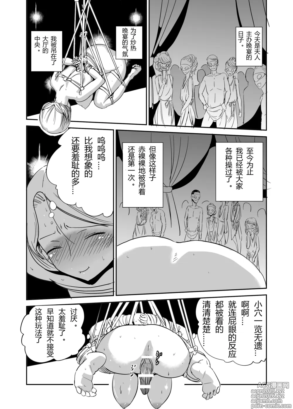 Page 3 of doujinshi 緊縛の夜会（有条色狼汉化）