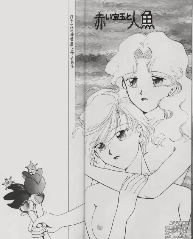 Page 12 of doujinshi TSUGAI HARUKA TENOH BIRTHDAY BOOK