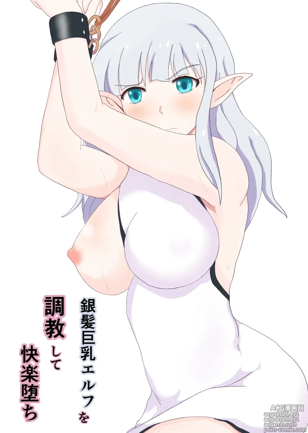 Page 1 of doujinshi Ginpatsu Kyonyuu Elf o Choukyou shite Kairaku Ochi