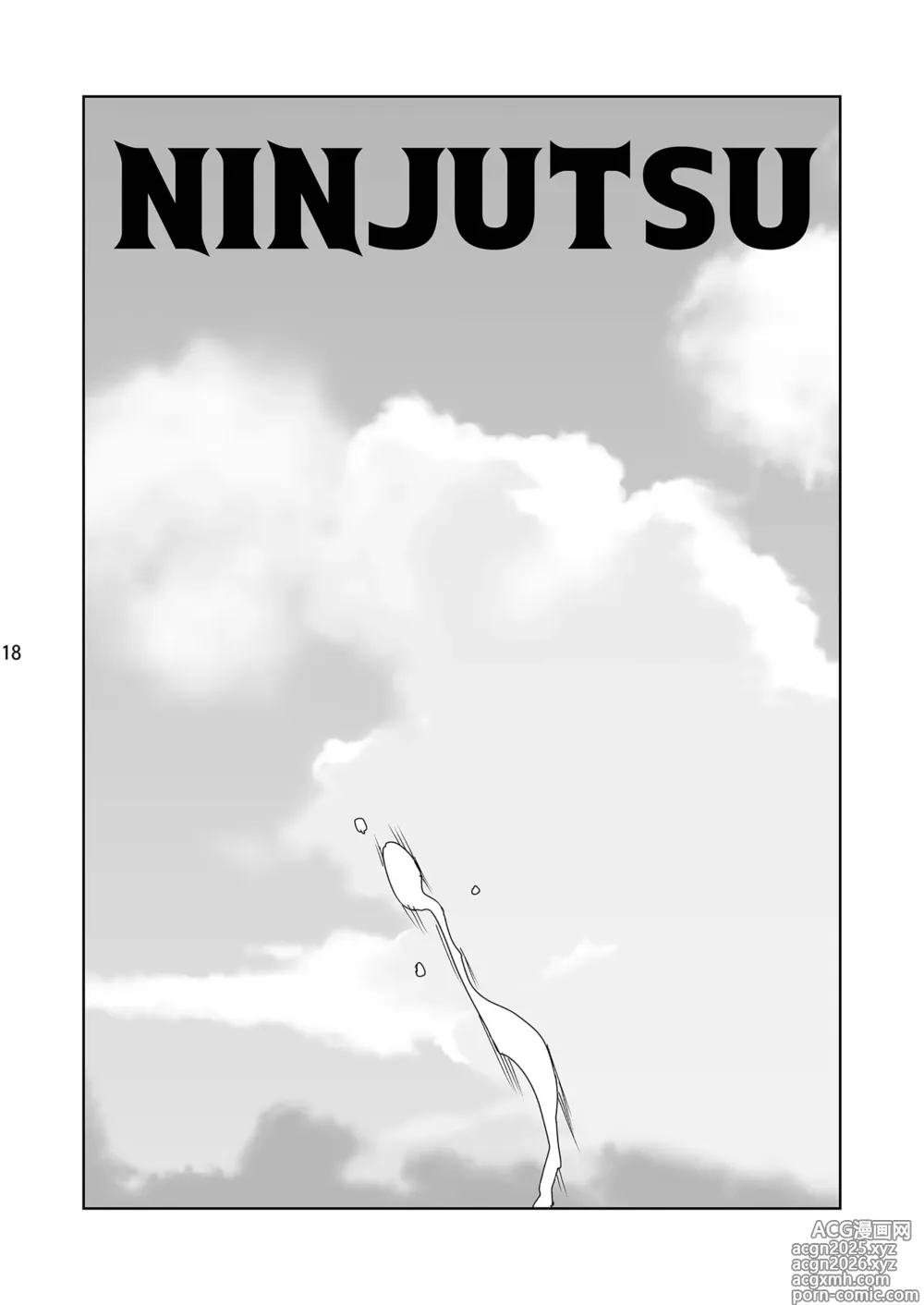 Page 19 of doujinshi NINJUTSU