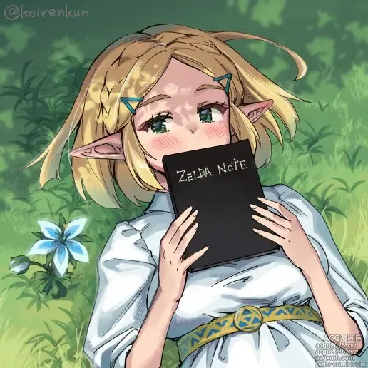 Page 3 of imageset Zelda art - 松本痙  @keirenkun