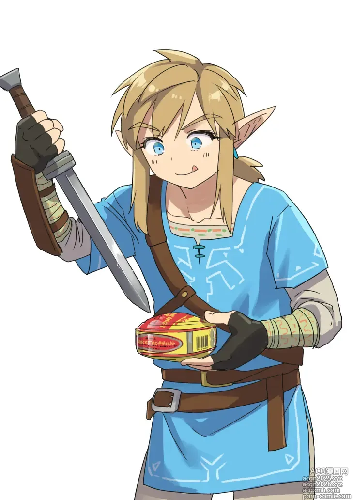 Page 464 of imageset Zelda art - 松本痙  @keirenkun