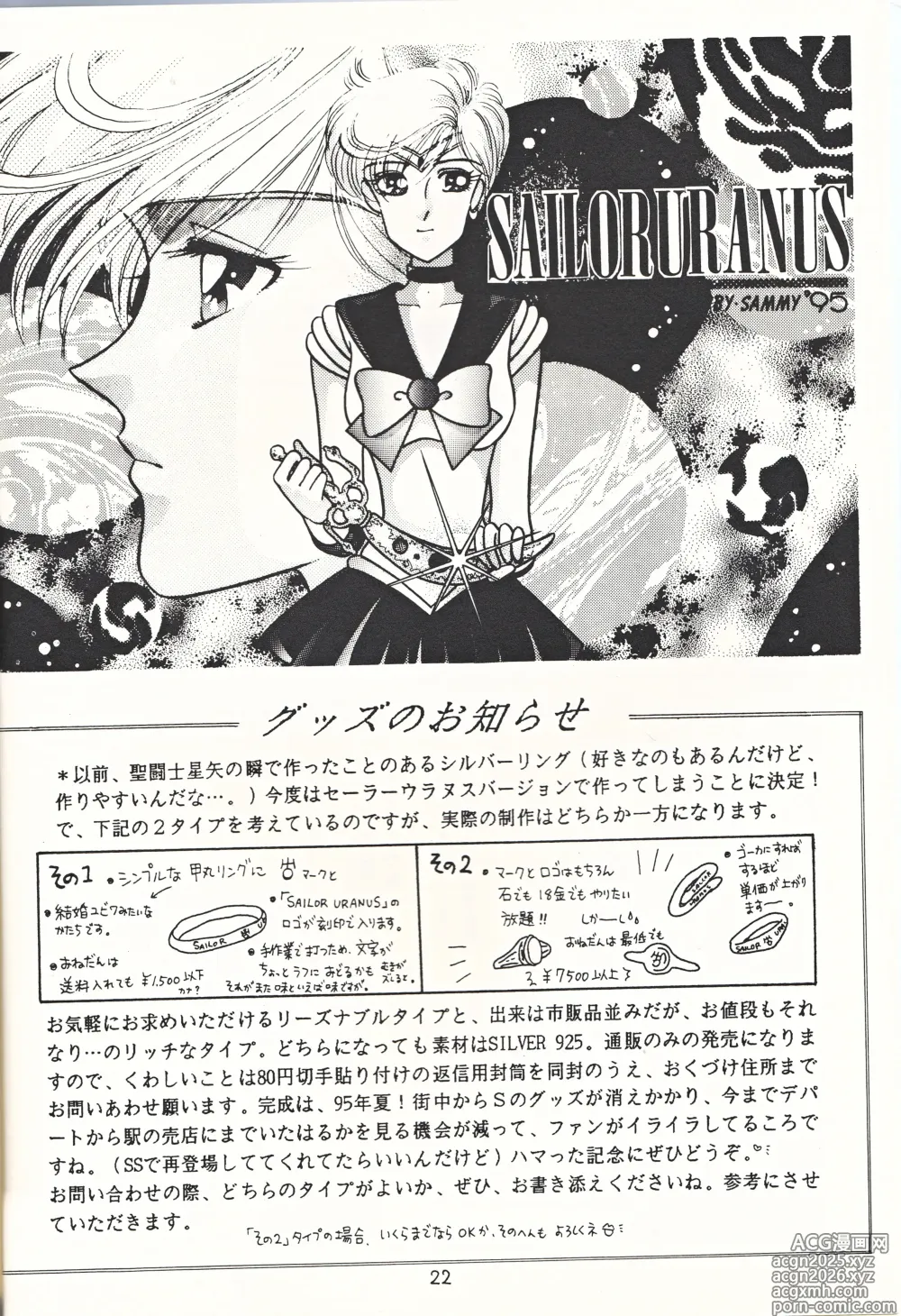 Page 22 of doujinshi Bishoujo Tenshi Night Wings