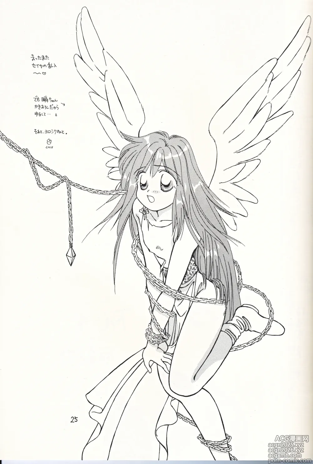 Page 25 of doujinshi Bishoujo Tenshi Night Wings