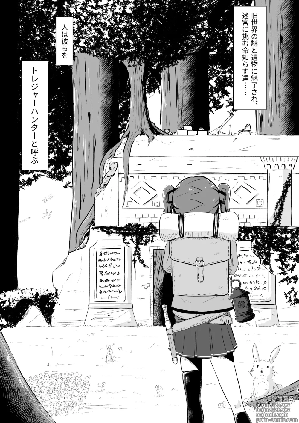 Page 3 of doujinshi nagasareyasui treasure hunter Reboot