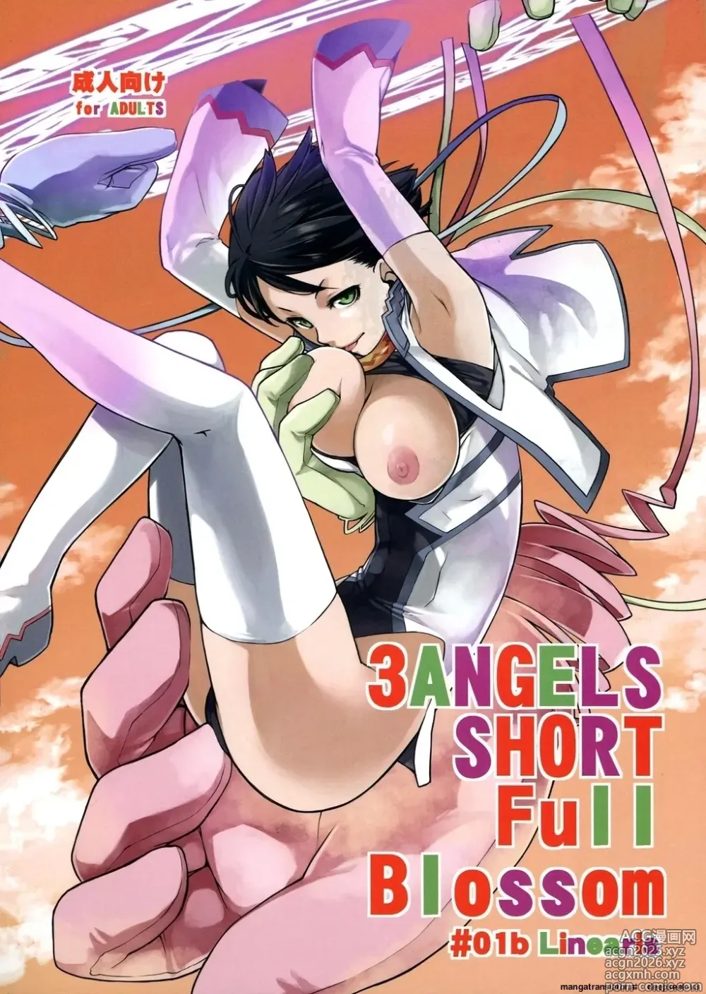 Page 1 of doujinshi 3 ANGELS SHORT Full Blossom #01b Linearis