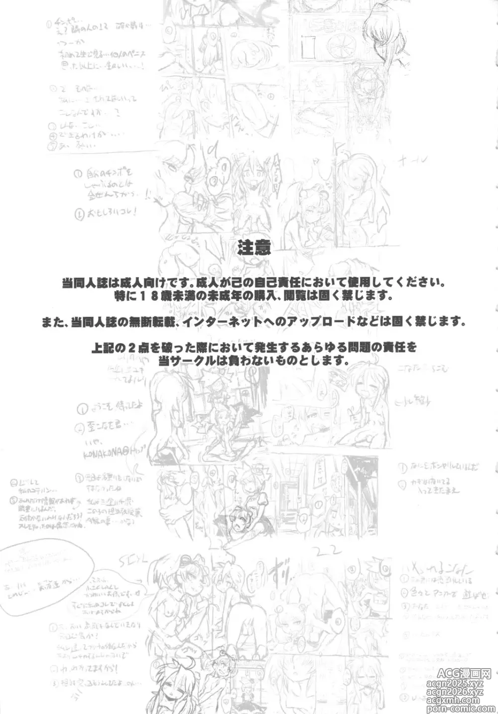 Page 2 of doujinshi C79) [Kakumei Seifu Kouhoushitsu (Various)] SEXSPHERE ORGANELLE 2