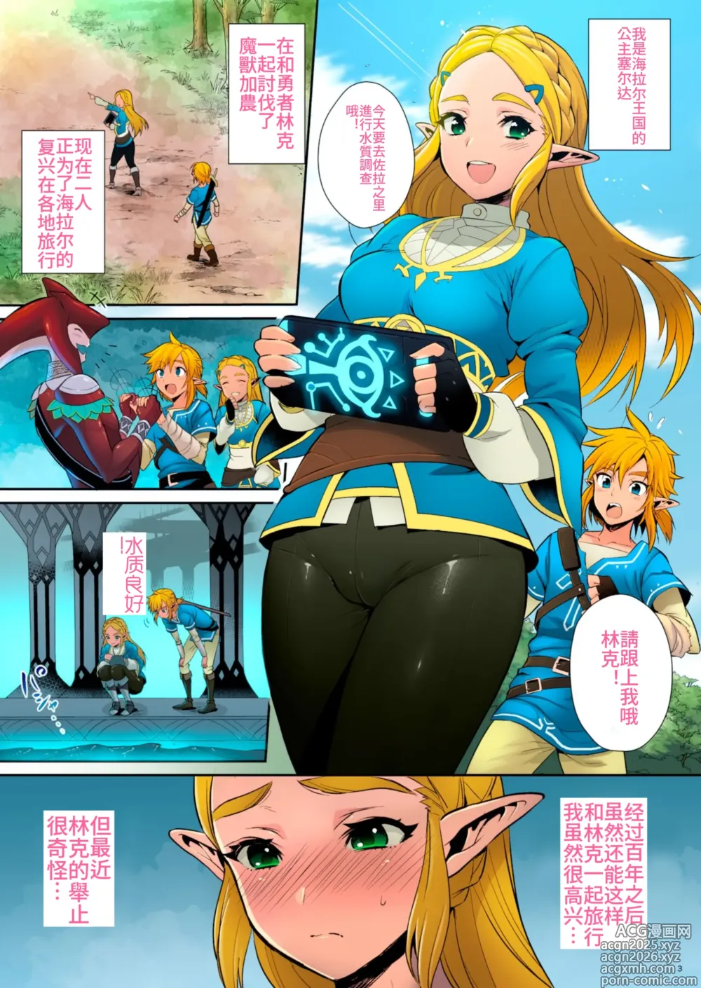 Page 2 of doujinshi Hyrule Hanei no Tame no Katsudou! (decensored)