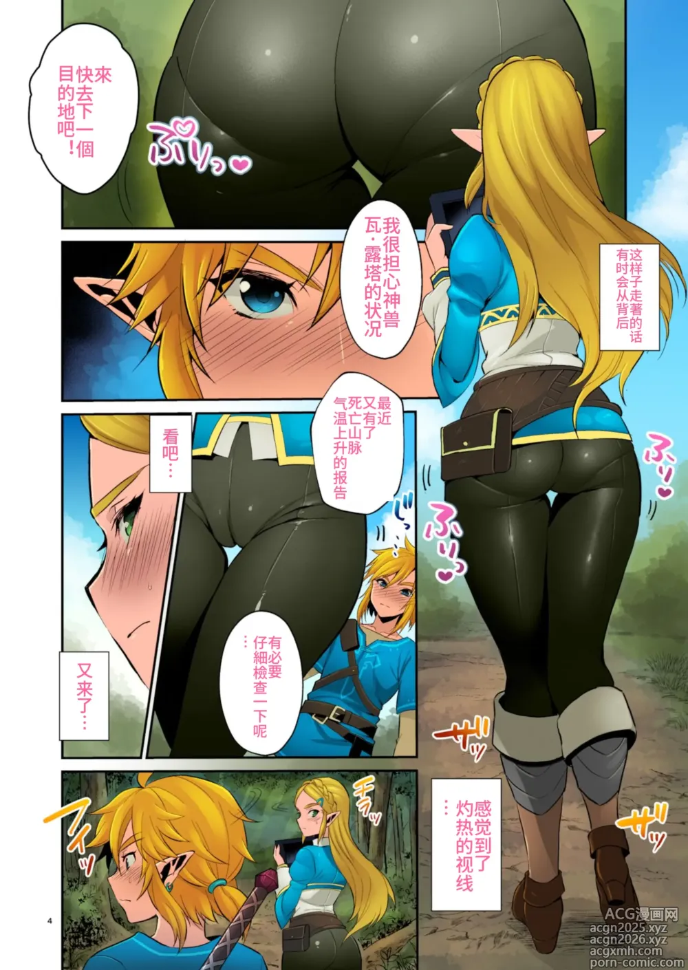 Page 3 of doujinshi Hyrule Hanei no Tame no Katsudou! (decensored)