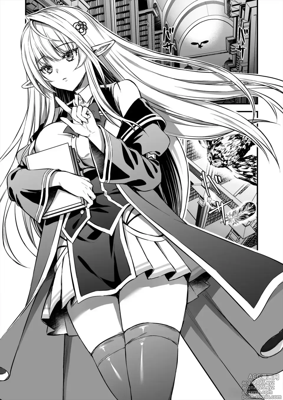 Page 3 of doujinshi Mahougakuin no Ochikobore。Tensai Erufu Shoujyo ni Zenkakaihou no Mahou o kaketemita【Polaris个人汉化】