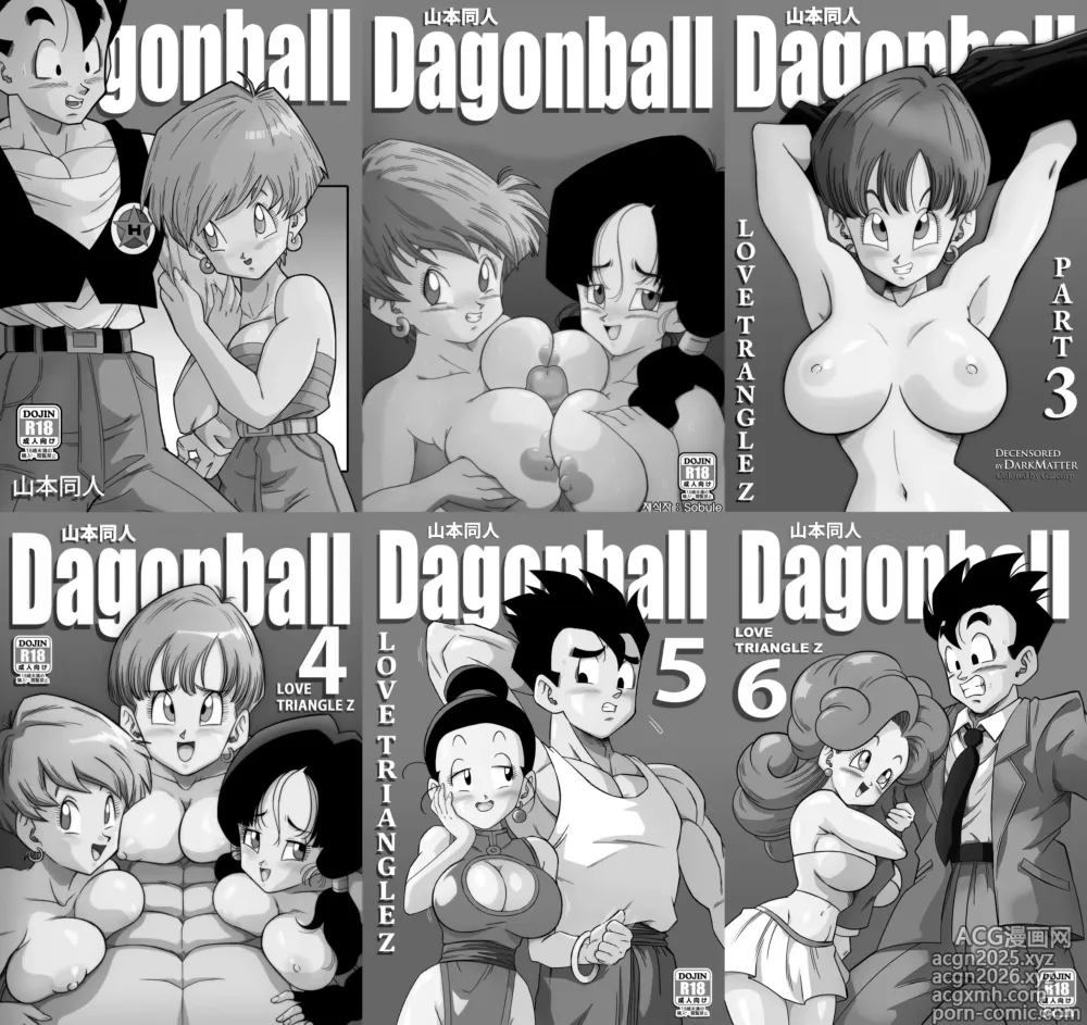 Page 1 of doujinshi LOVE TRIANGLE Z Part 1-6 (decensored)