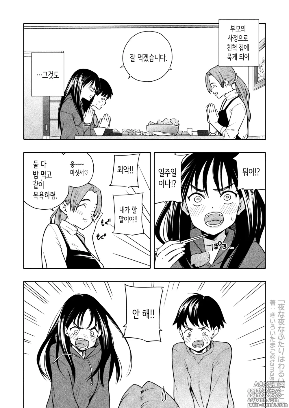 Page 4 of doujinshi 밤마다 두 사람은 못된 짓
