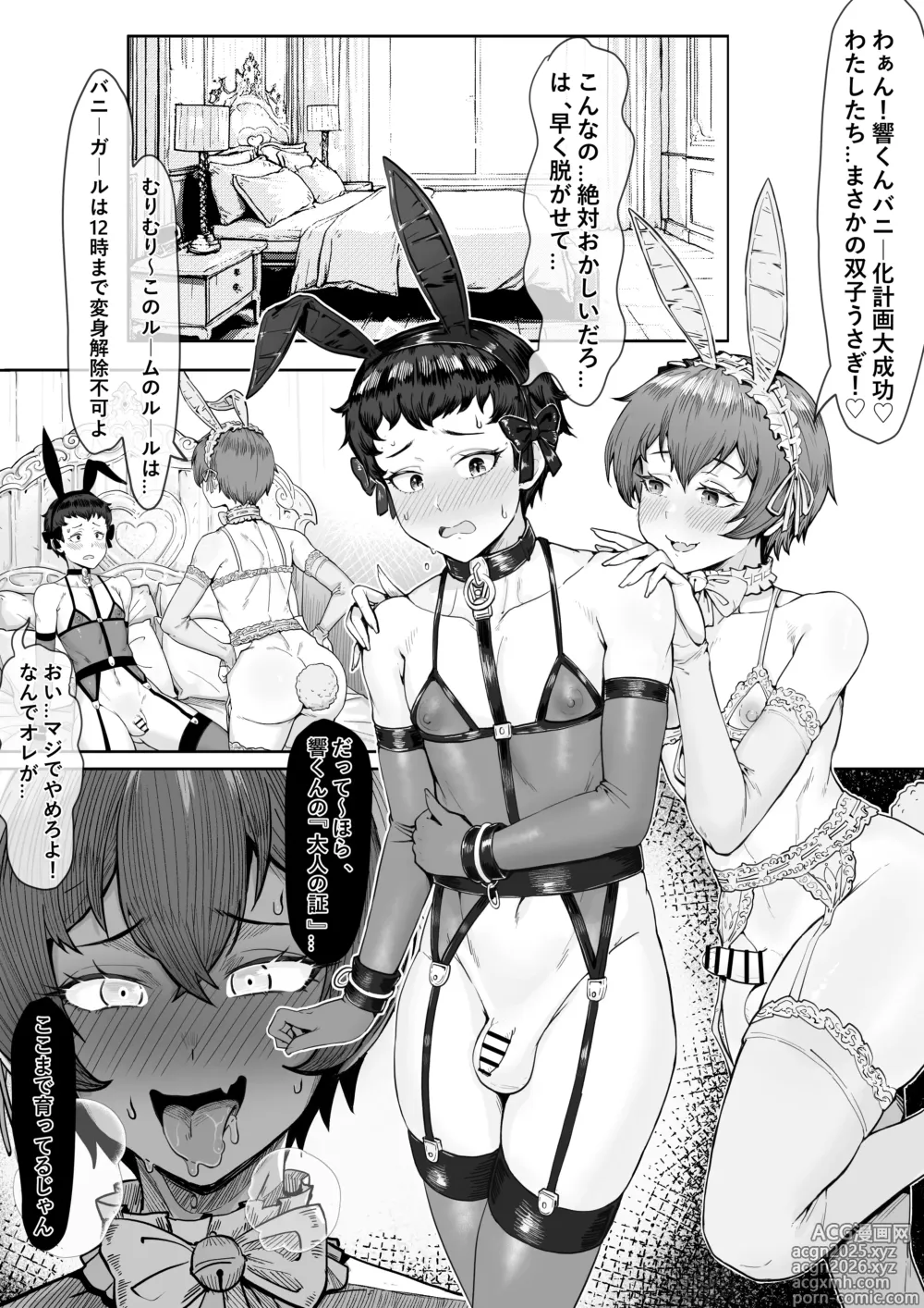 Page 3 of doujinshi Twin rabbits