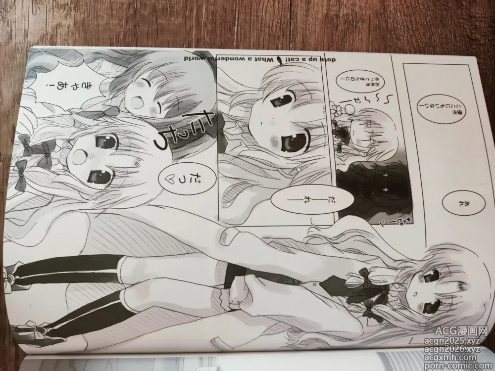 Page 14 of doujinshi What A Wonderful World