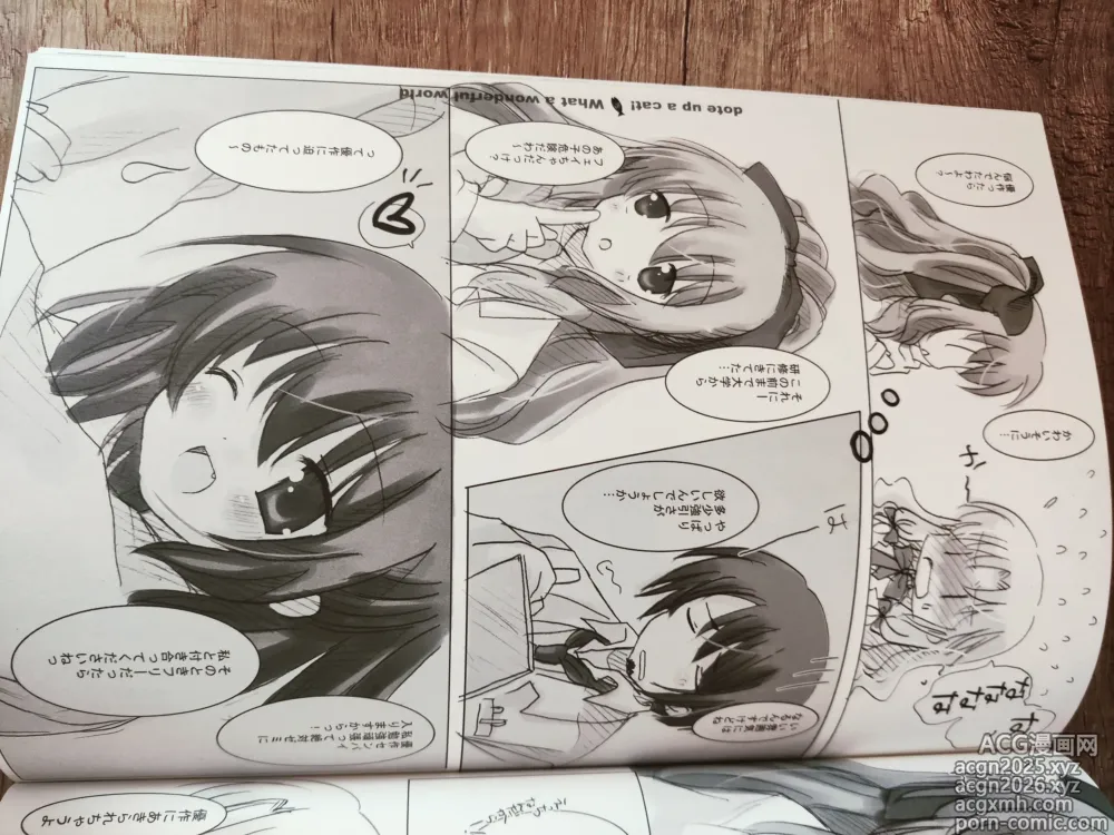Page 16 of doujinshi What A Wonderful World