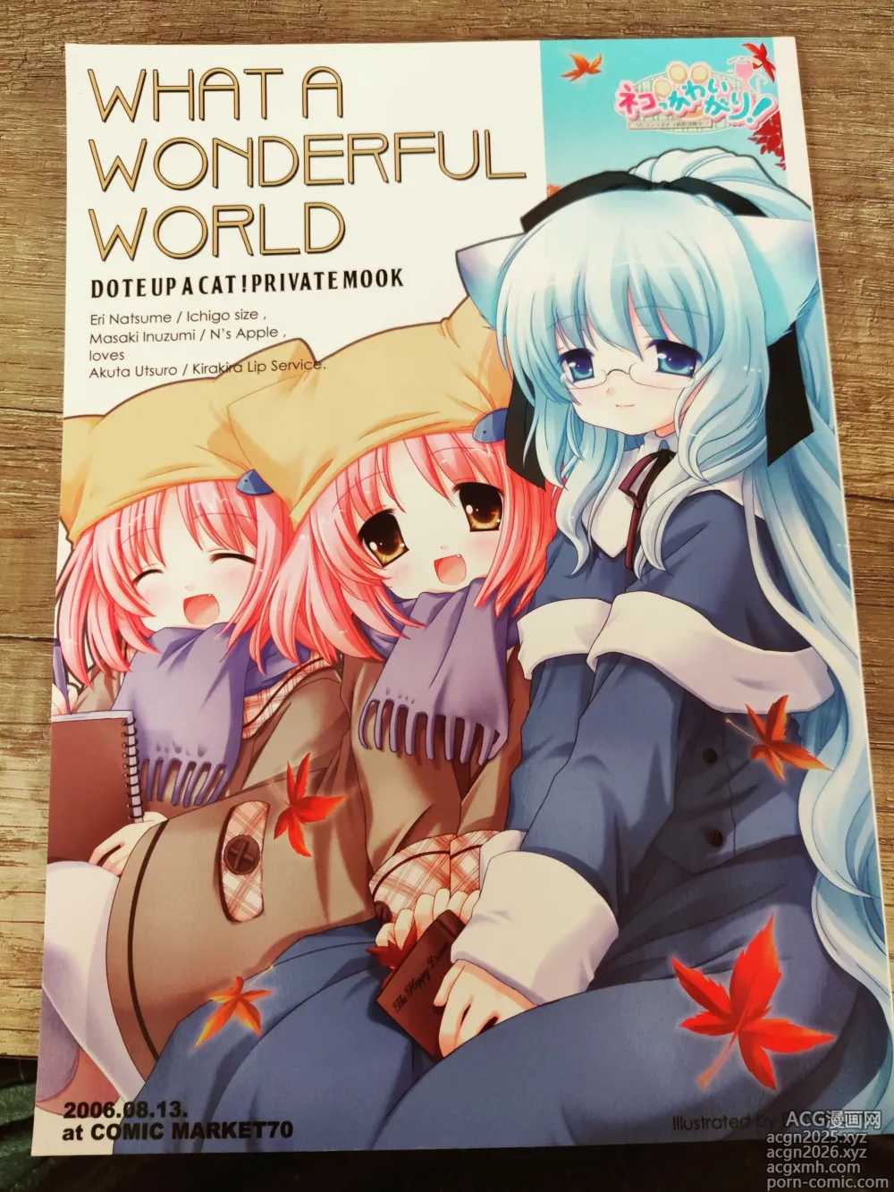 Page 3 of doujinshi What A Wonderful World