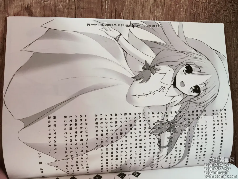 Page 6 of doujinshi What A Wonderful World