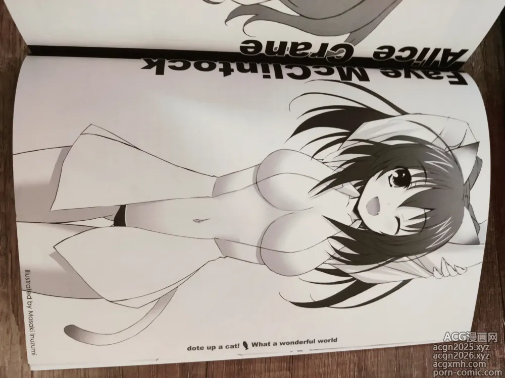 Page 7 of doujinshi What A Wonderful World