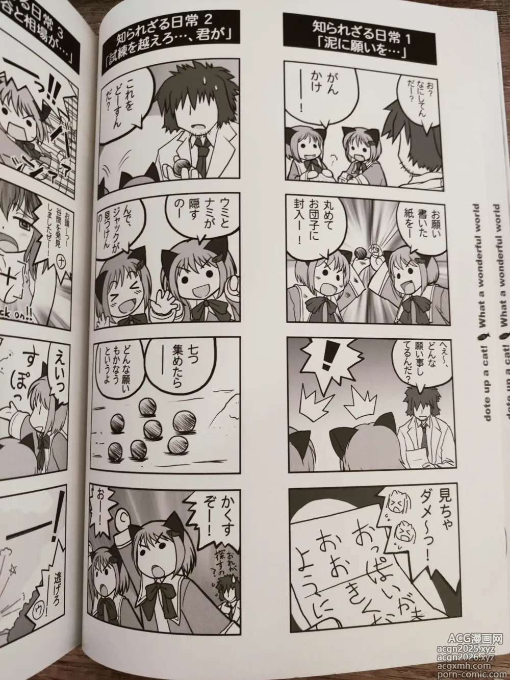 Page 9 of doujinshi What A Wonderful World
