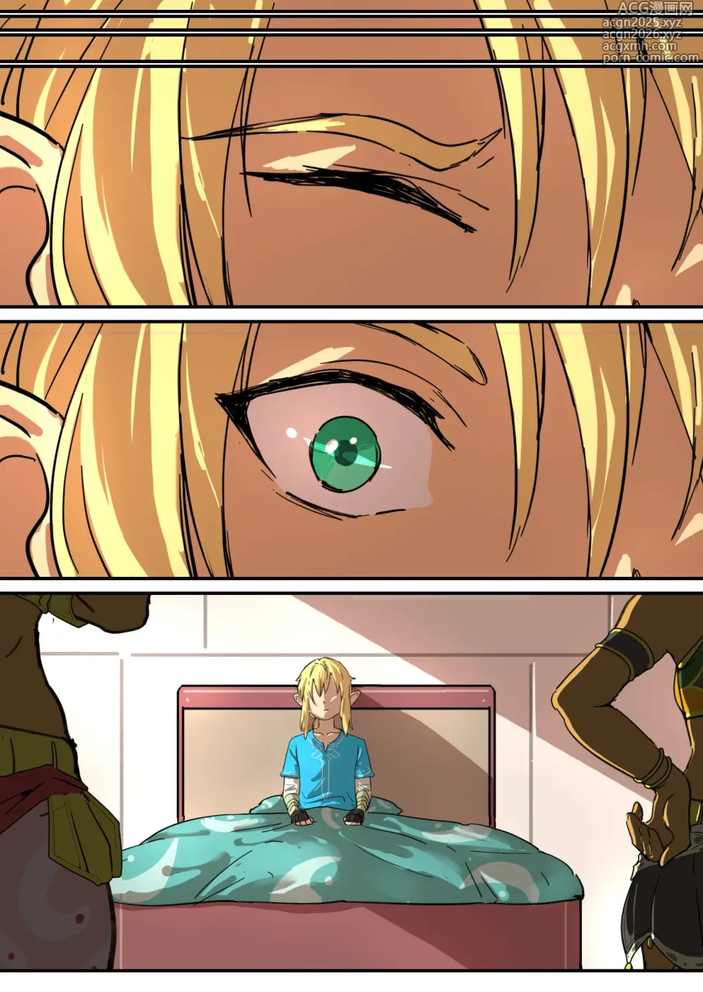 Page 20 of doujinshi The Legend of Zelda - Rijus Dungeon Date