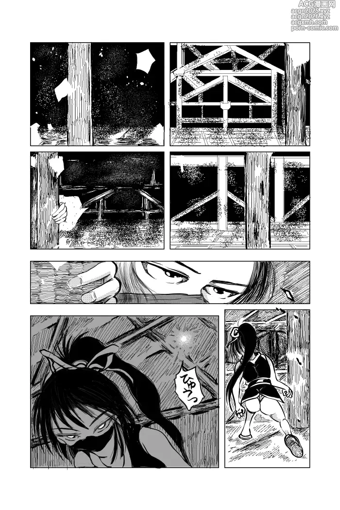 Page 3 of doujinshi Kunoichi ~Intou Shin Chigoku~