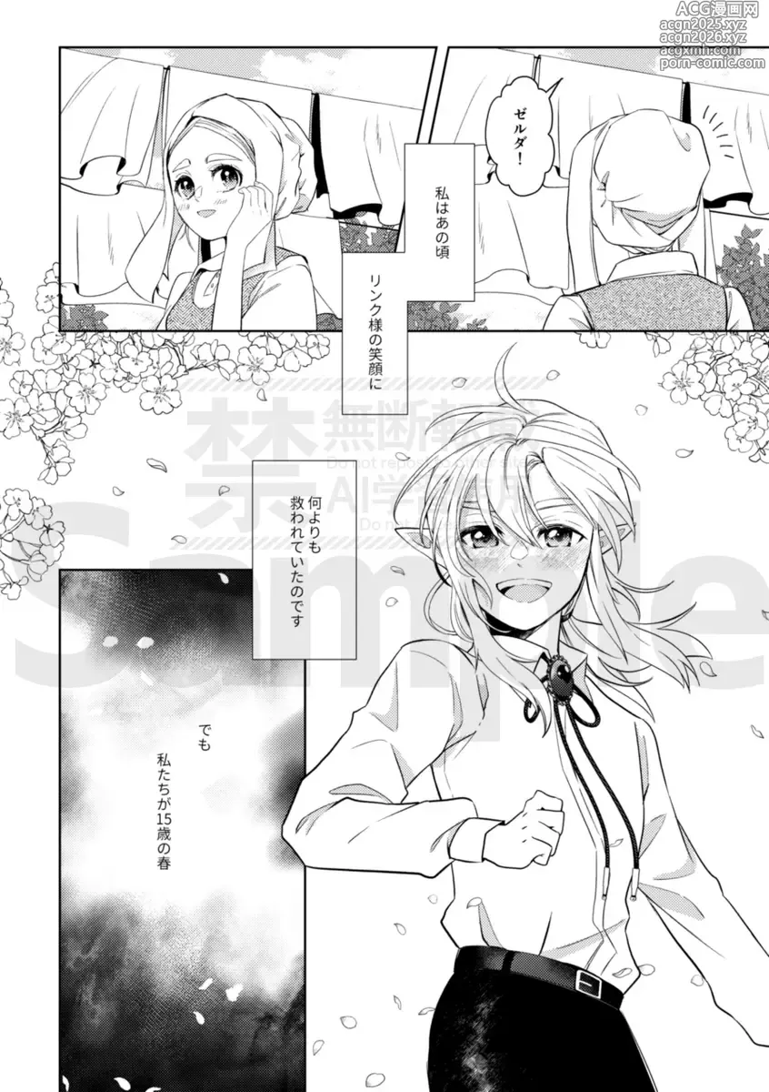 Page 11 of doujinshi [The Legend of Zelda)