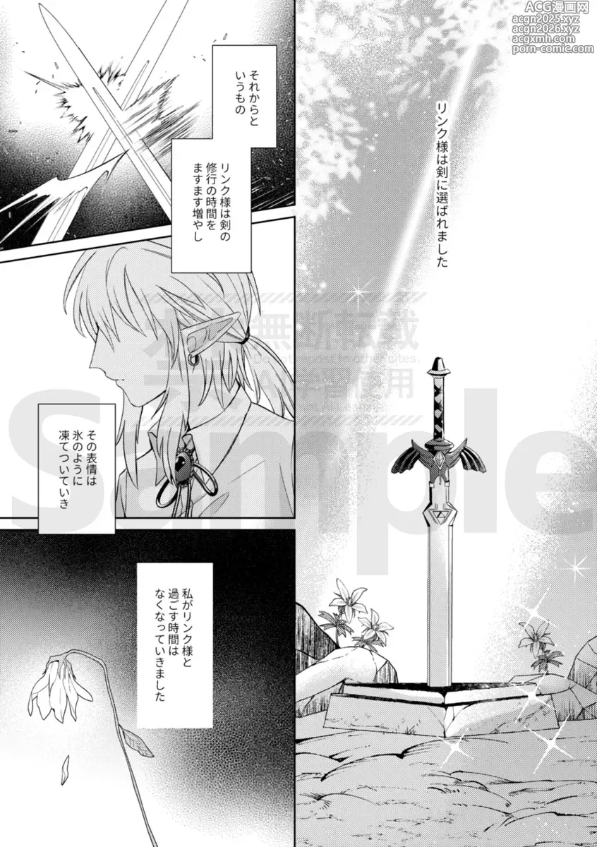 Page 12 of doujinshi [The Legend of Zelda)