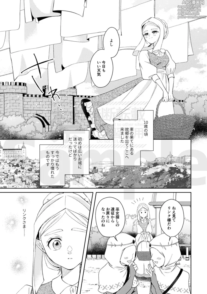 Page 6 of doujinshi [The Legend of Zelda)