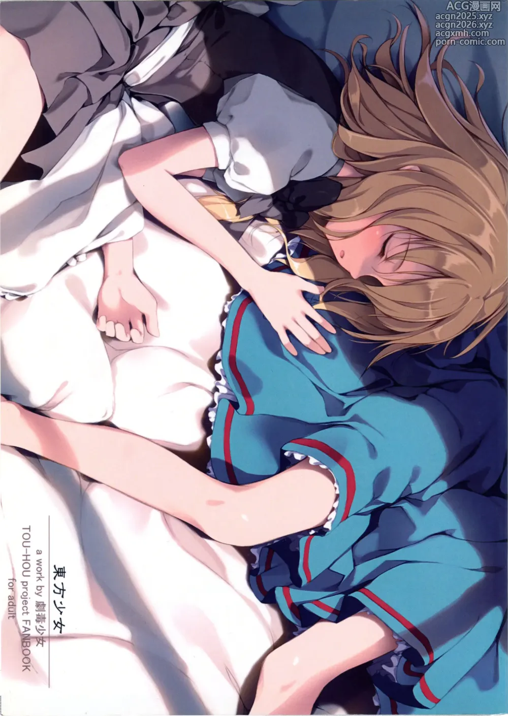 Page 2 of doujinshi Touhou Shoujo