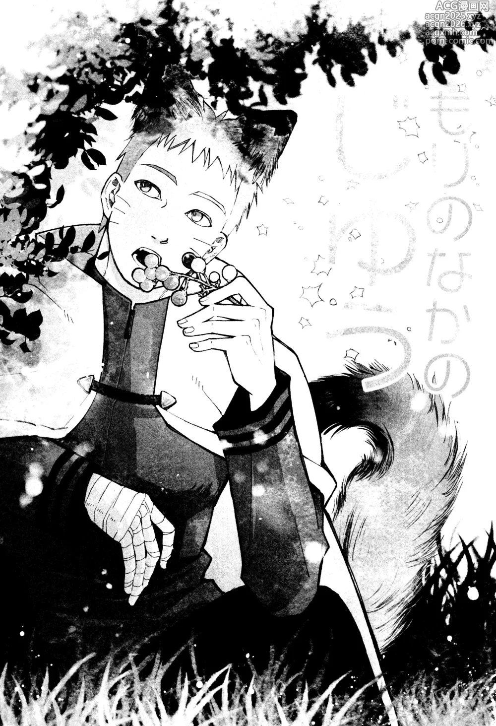 Page 2 of doujinshi Mori no naka noji yuu