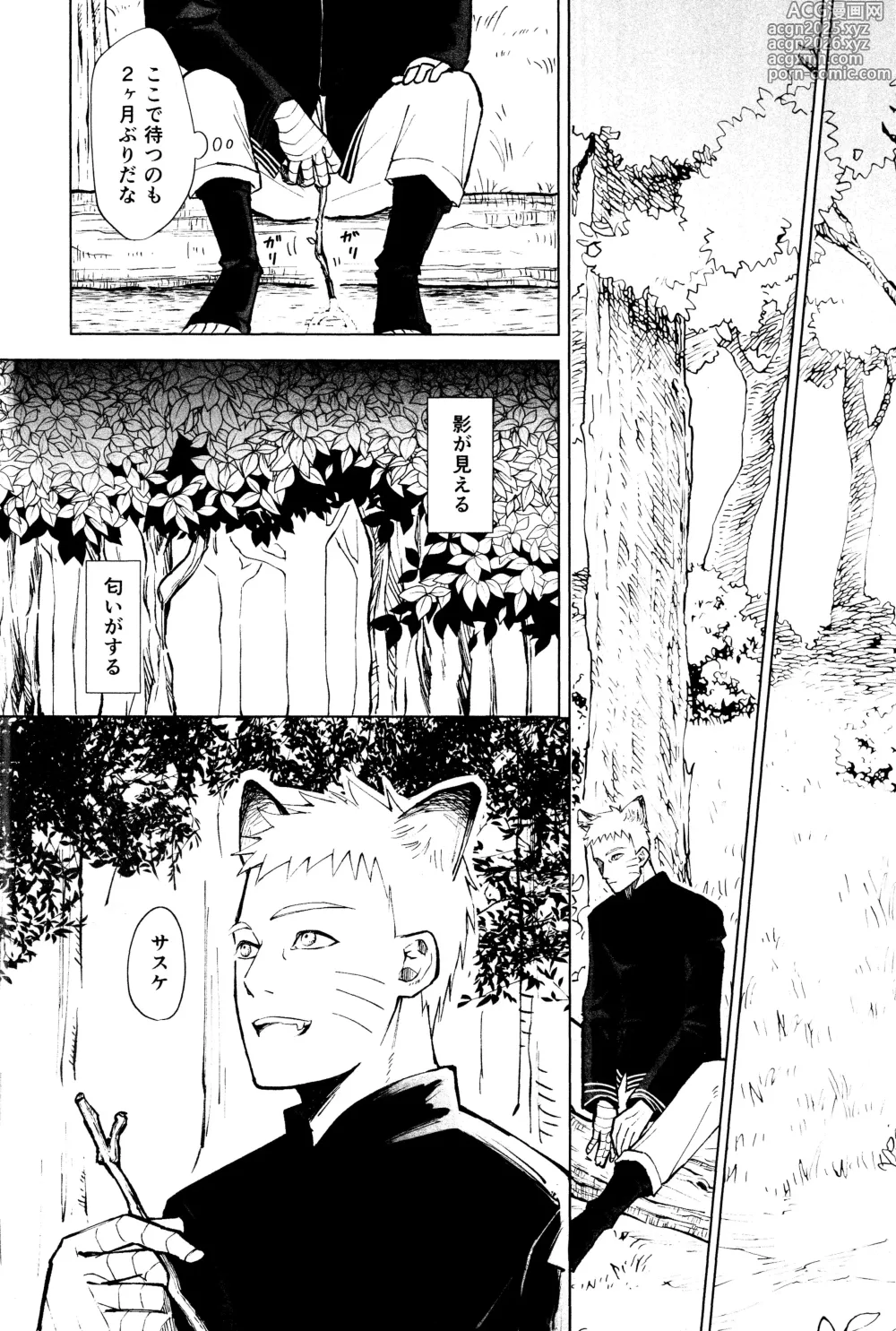 Page 3 of doujinshi Mori no naka noji yuu