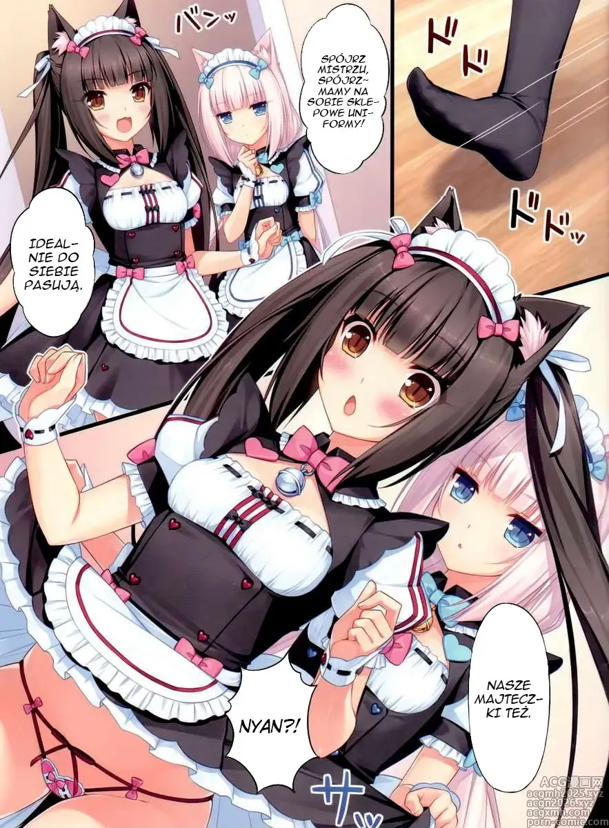 Page 12 of doujinshi Neko Para 01 (decensored)
