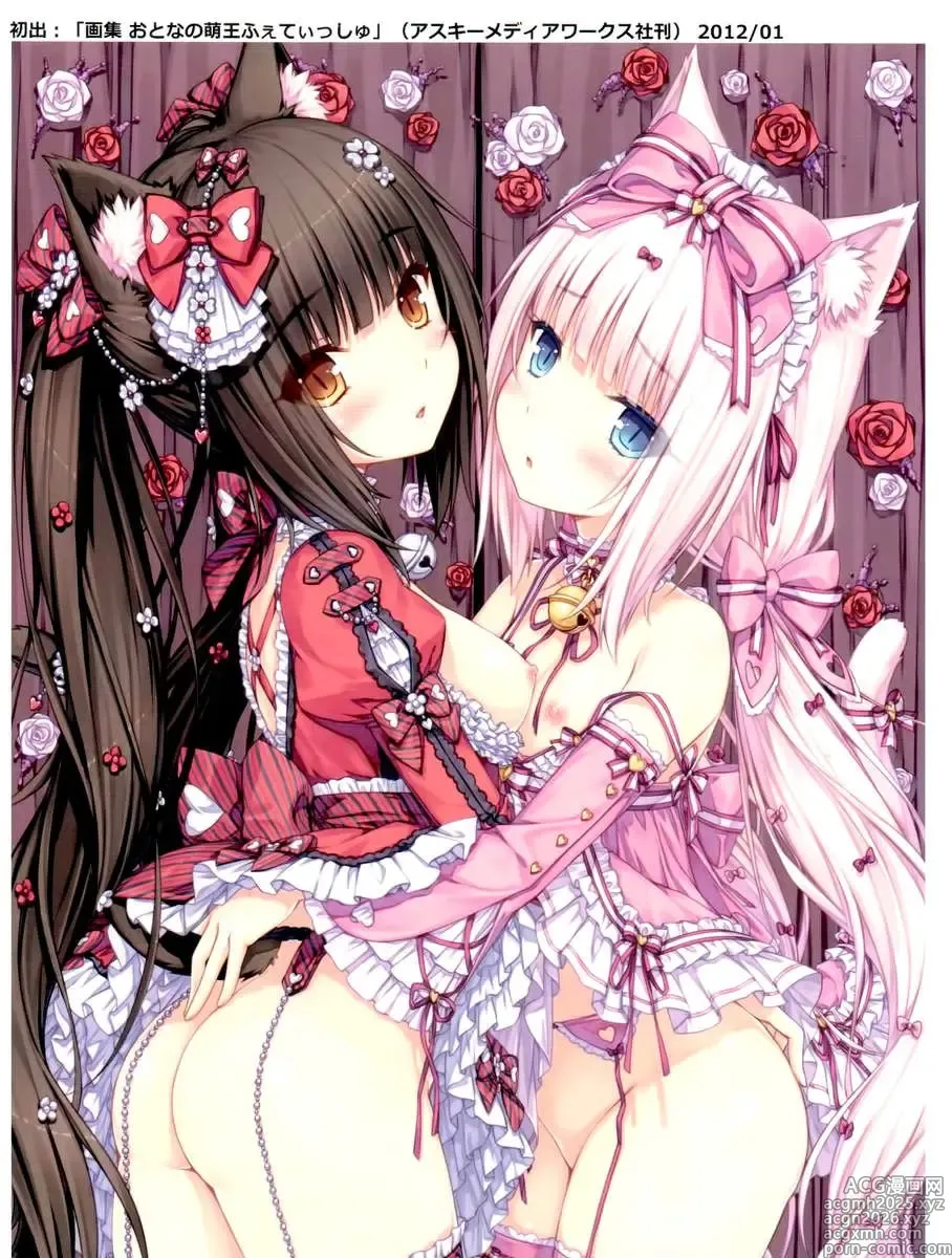 Page 4 of doujinshi Neko Para 01 (decensored)