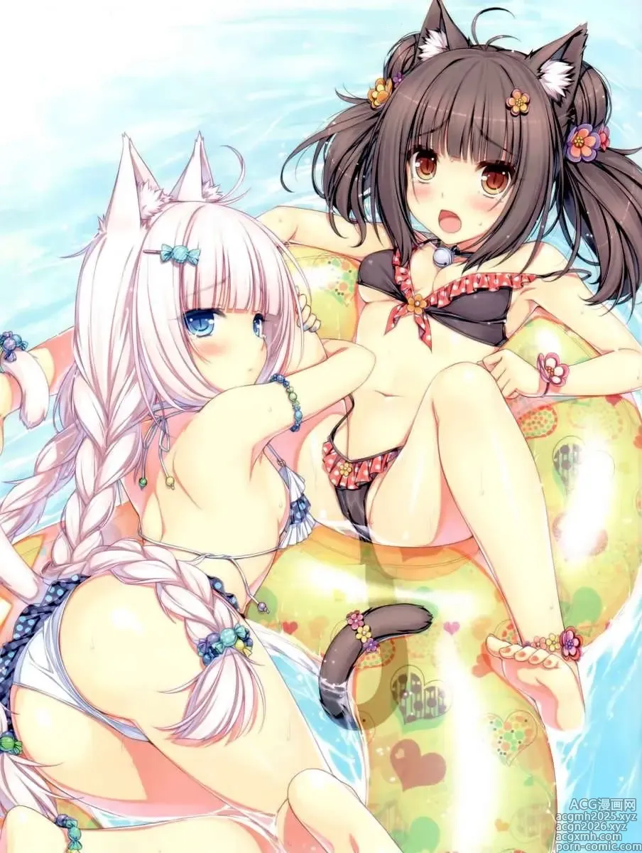 Page 6 of doujinshi Neko Para 01 (decensored)