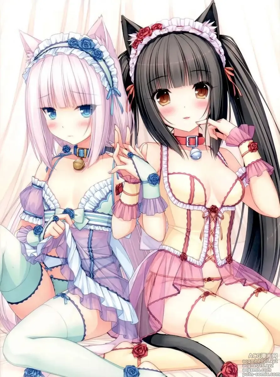 Page 7 of doujinshi Neko Para 01 (decensored)