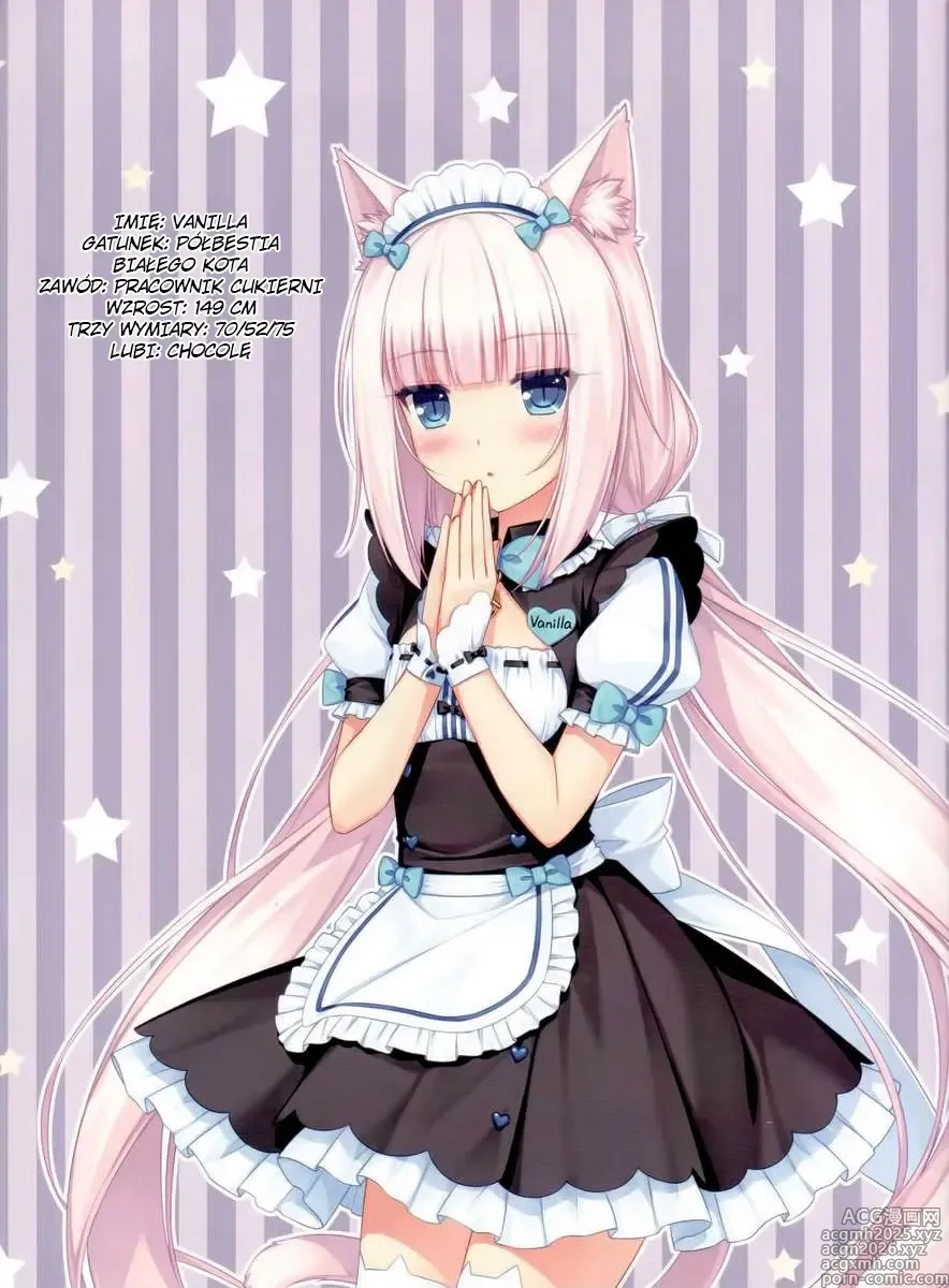 Page 10 of doujinshi Neko Para 01 (decensored)