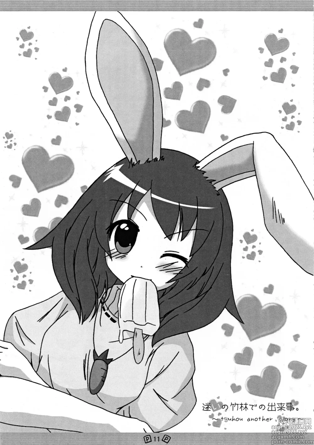 Page 14 of doujinshi Touhou Shoujo