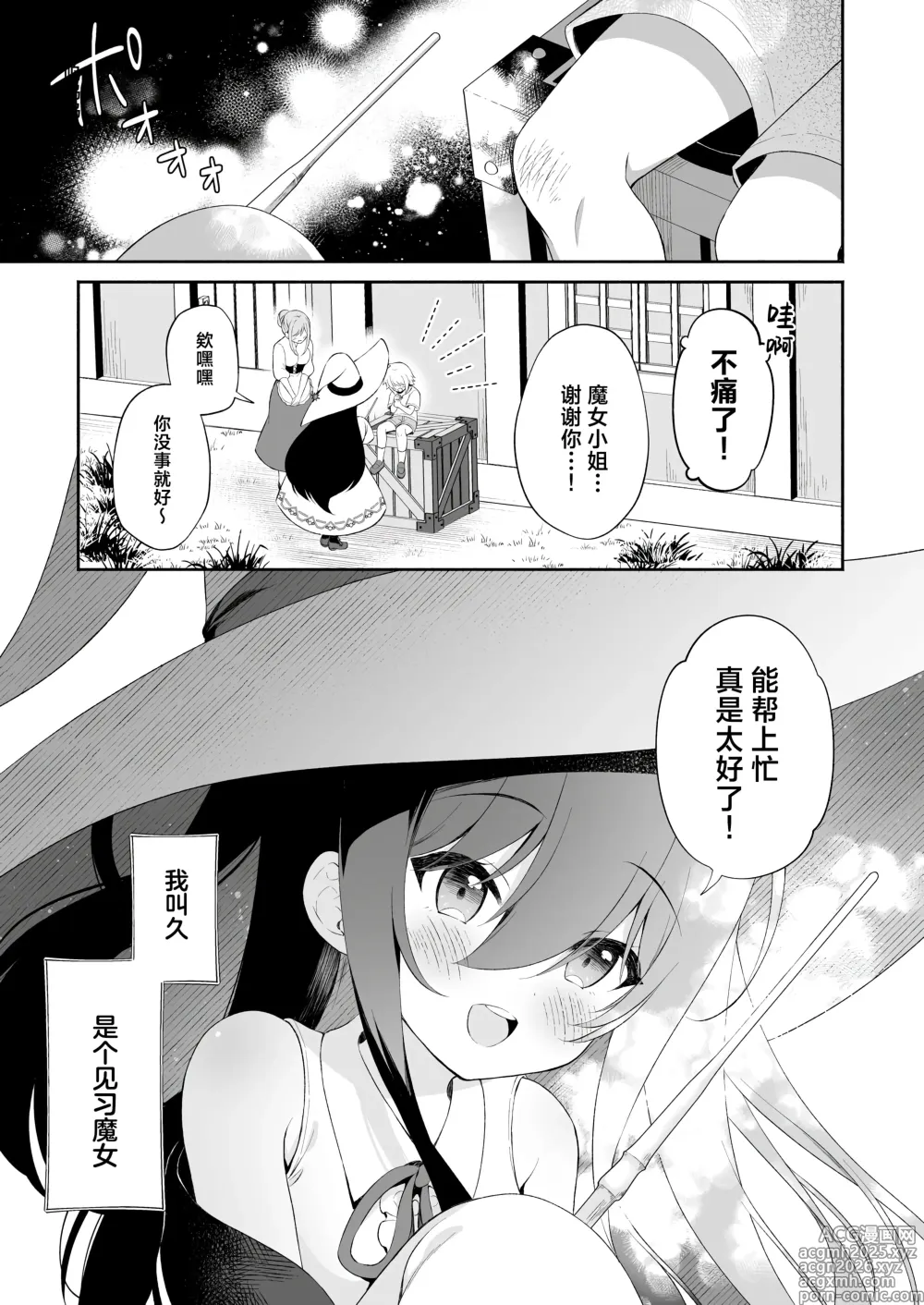 Page 4 of doujinshi 播种的恶魔与纯洁的魔女