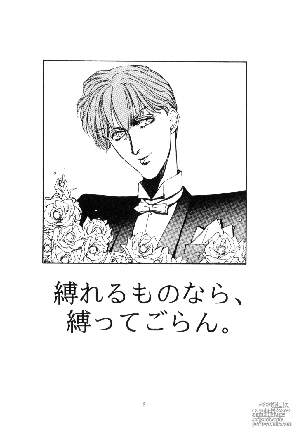 Page 3 of doujinshi Nosai-No-Gi -Bluest Blue In Blue- Seiji & Tomas Story - The Betrothal Ceremony