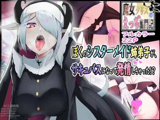 My Nunmaid Became A Succubus In Heat!? ~The Sexy Struggles Of Christine The Witch!!~