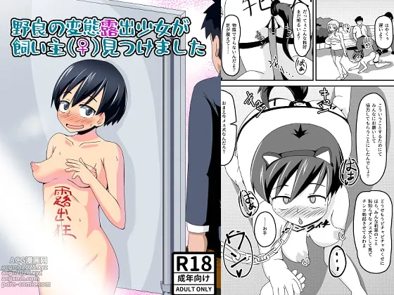 Nora no Hentai Roshutsu Shoujo ga Kainushi Mitsukemashita