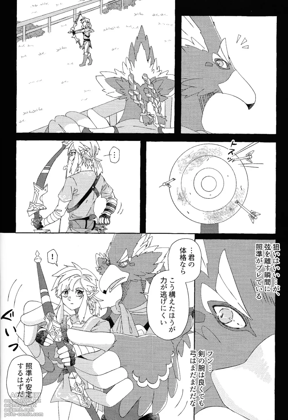 [Mamonosaida (Ten)] Arifureta happiendo (Legend of Zelda)-11